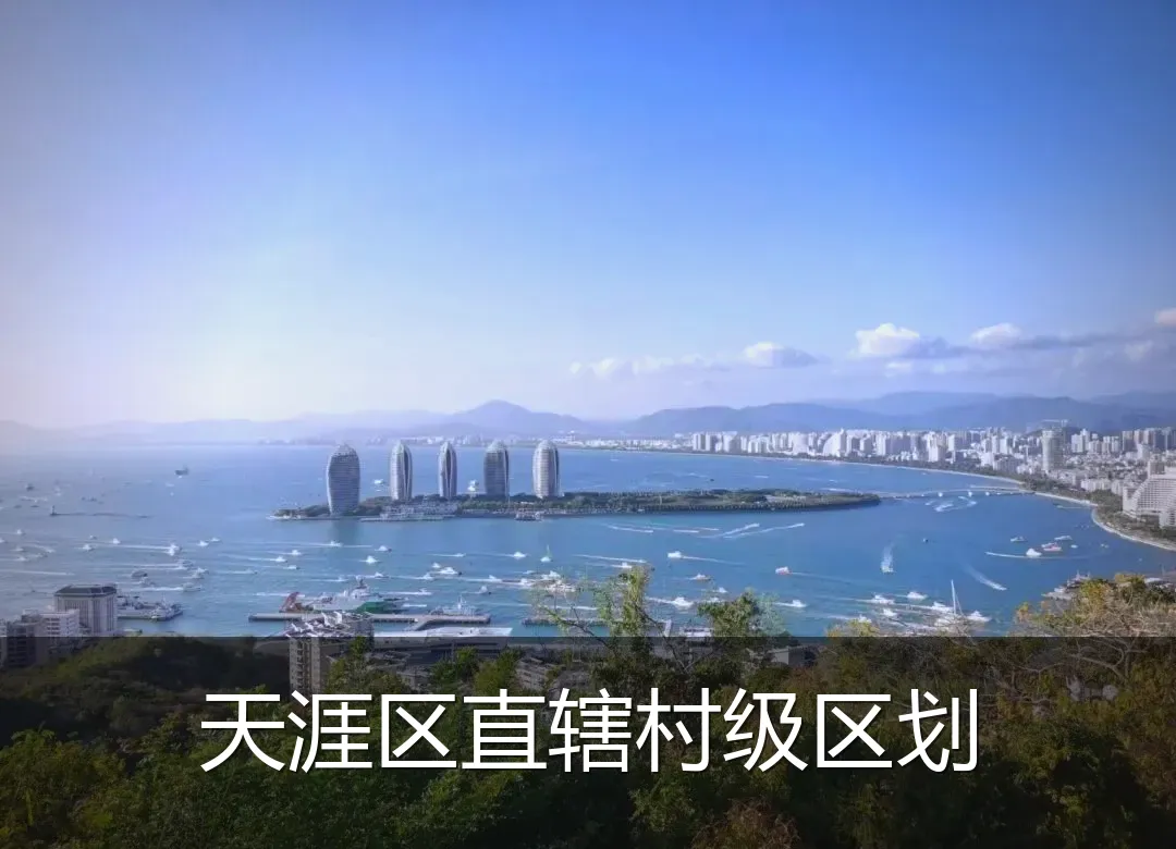 天涯区直辖村级区划